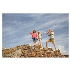 BS Toys Blaaspijp Hout - Afschietspel -Buitenspeelgoed 4690561d