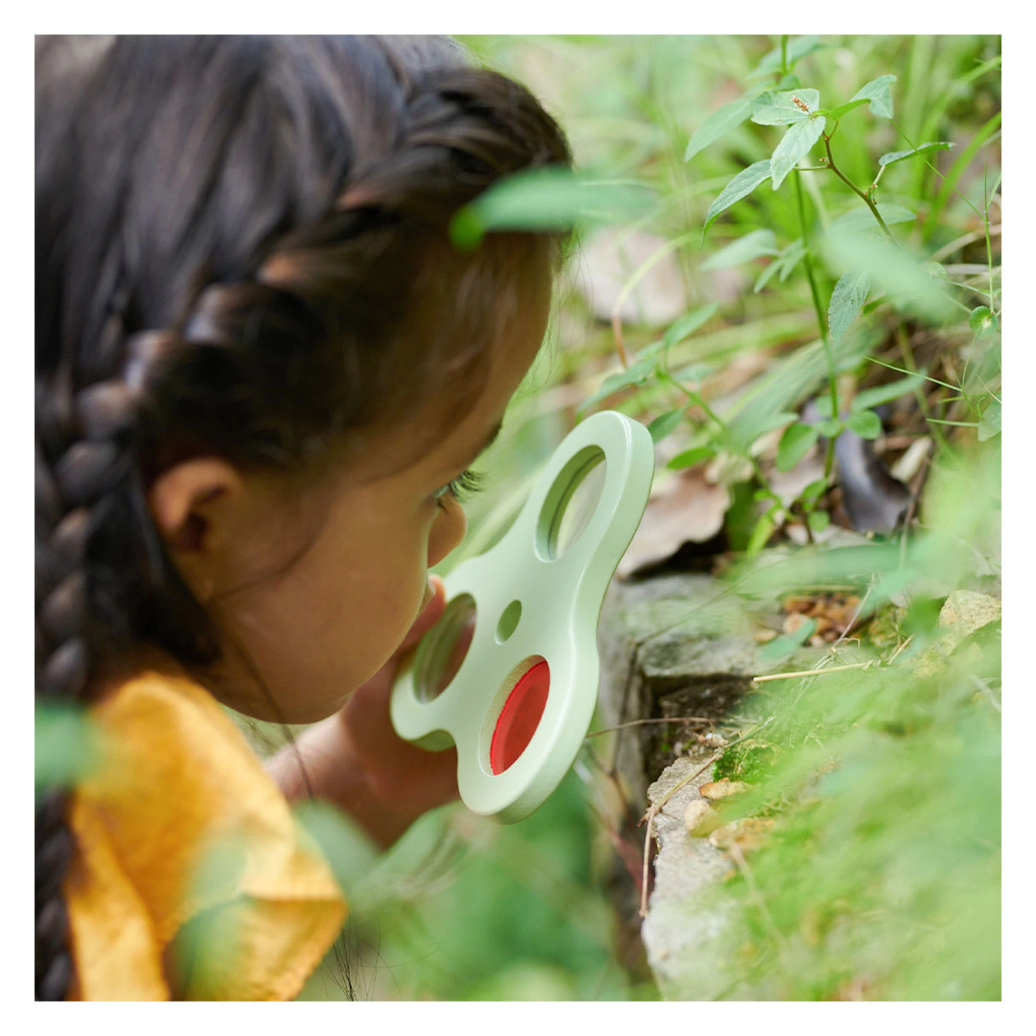 Classic World Houten Insecten En Ontdekset, 2dlg. 10 Classic World Houten Insecten En Ontdekset, 2dlg. - Afbeelding 8